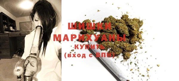 тгк Ладушкин