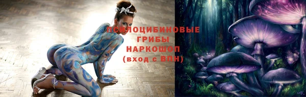 тгк Ладушкин